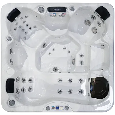 Avalon EC-849L hot tubs for sale in 